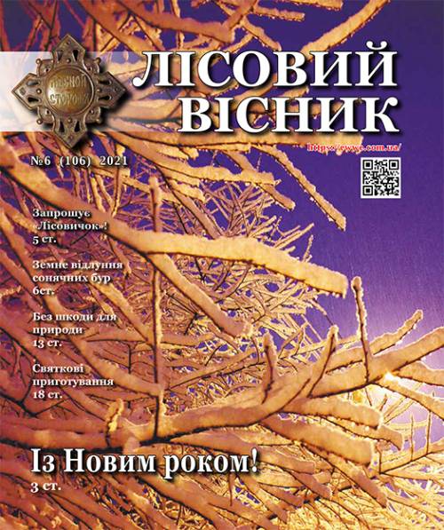 Лісовий вісник №6 (106) (№ 6 (106))