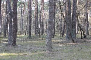 Роформи і громади