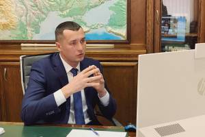 Що чекає на лісівників та лісгоспи