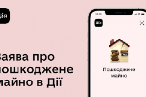 Хто і як отримає компенсацію за знищене чи пошкоджене майно