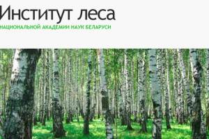 Спільні проблеми збереження лісів України й Білорусі