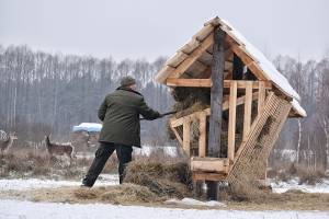 Мисливські клопоти