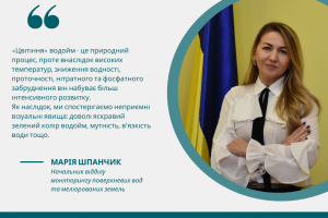 «Цвітіння» стає «хронічною хворобою» українських водойм