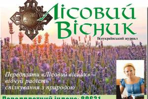 Колонка редактора