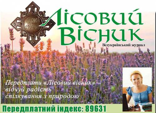 Колонка редактора