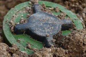 На Житомирщині від міни загинули двоє лісівників