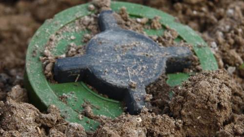 На Житомирщині від міни загинули двоє лісівників