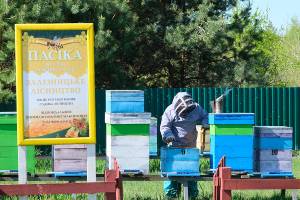 Цілюща пасіка