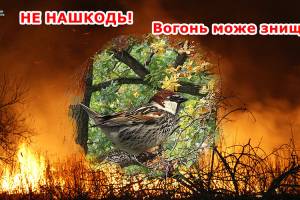 ЗАМОВИТИ ВИГОТОВЛЕННЯ РЕКЛАМИ БАНЕРНОЇ
