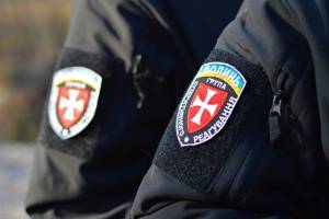 Самовільну порубку на Камінь-Каширщині виявили та розслідували оперативно