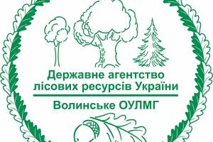 Виготовлення логотипів