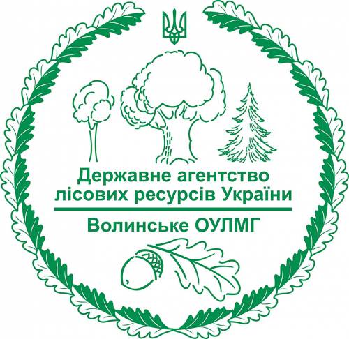 Виготовлення логотипів
